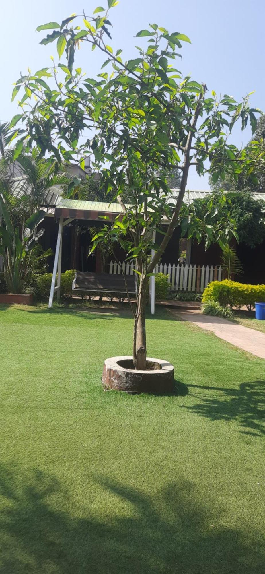 Hotel Oakwood Mahābaleshwar מראה חיצוני תמונה